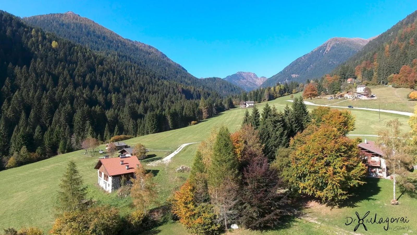Chalet Al Maso Val Calamento Telve Eksteriør bilde